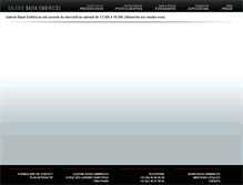 Tablet Screenshot of galeriebasiaembiricos.com